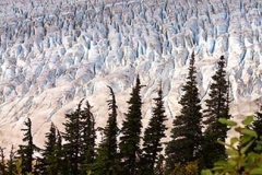Salmon-Glacier-crevasses